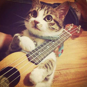 日本人与禽兽之间的文化背景
